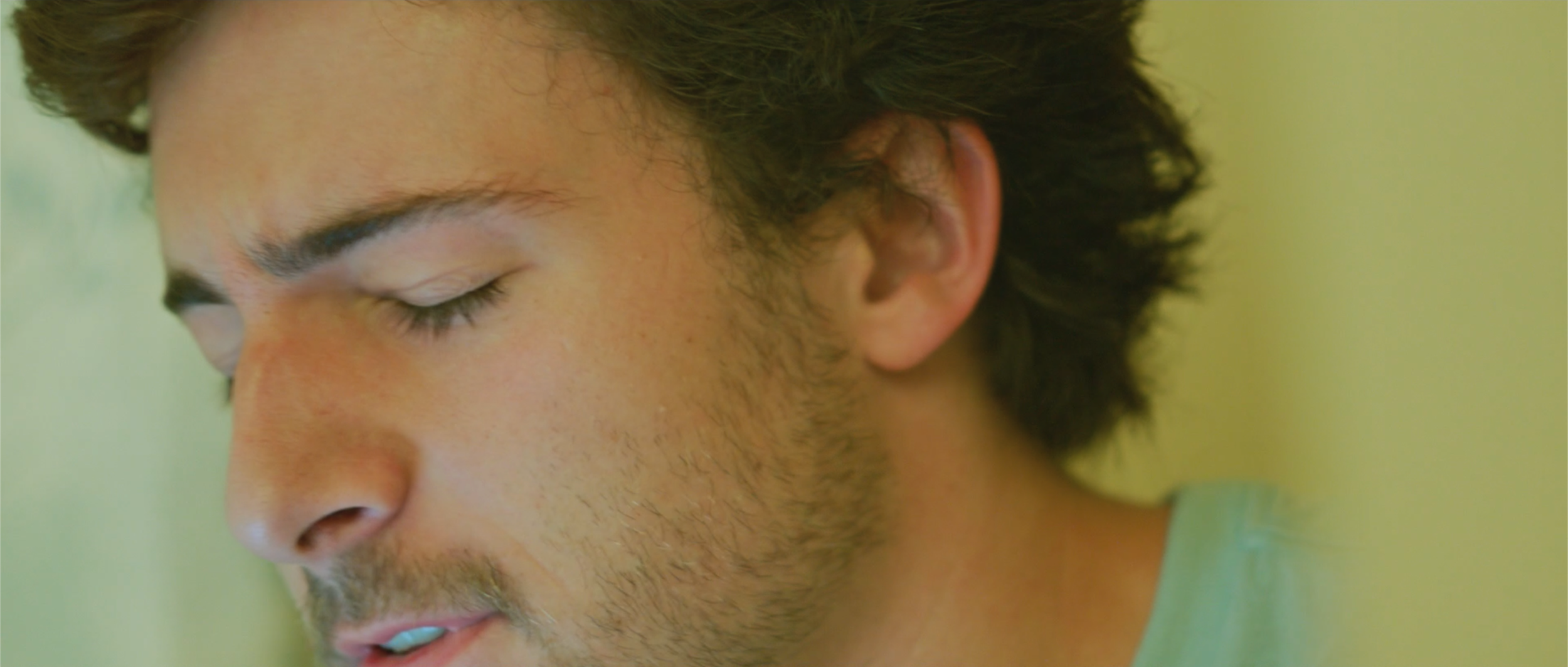 Love Birds - Still 3